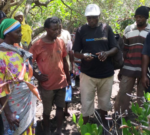 Community-Based Ecological Mangrove Restoration (CBEMR)